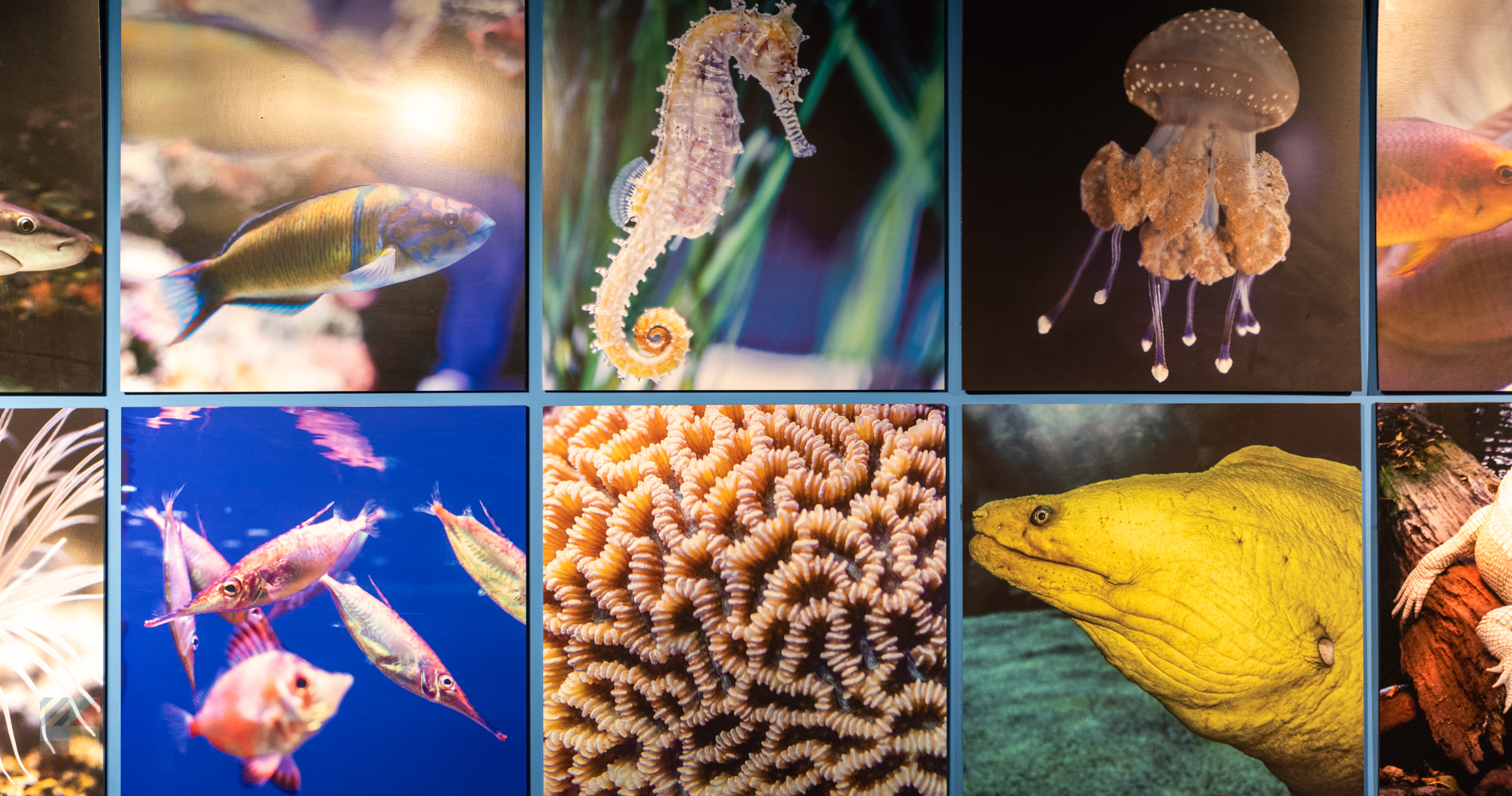 NC Aquarium at Fort Fisher