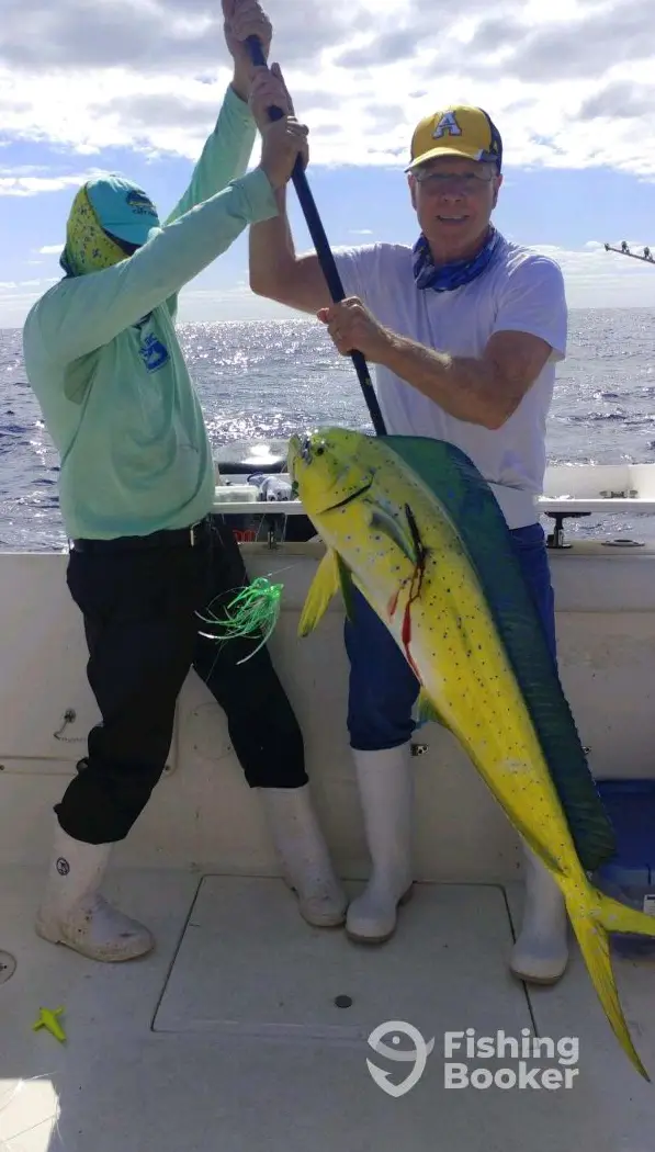 Seabbatical Charters – nearshore / Offshore charter image 2