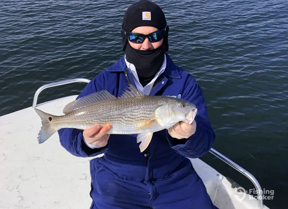 Rising Sun Fishing- Wrightsville charter image 6