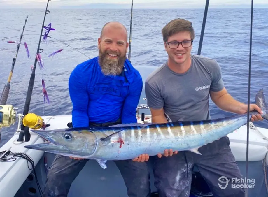 COBIA - KINGS Have Arrived In Oak Island NC 