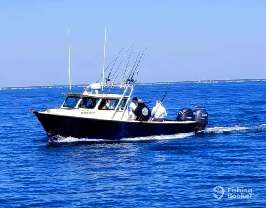 Badfish Fishing Charters