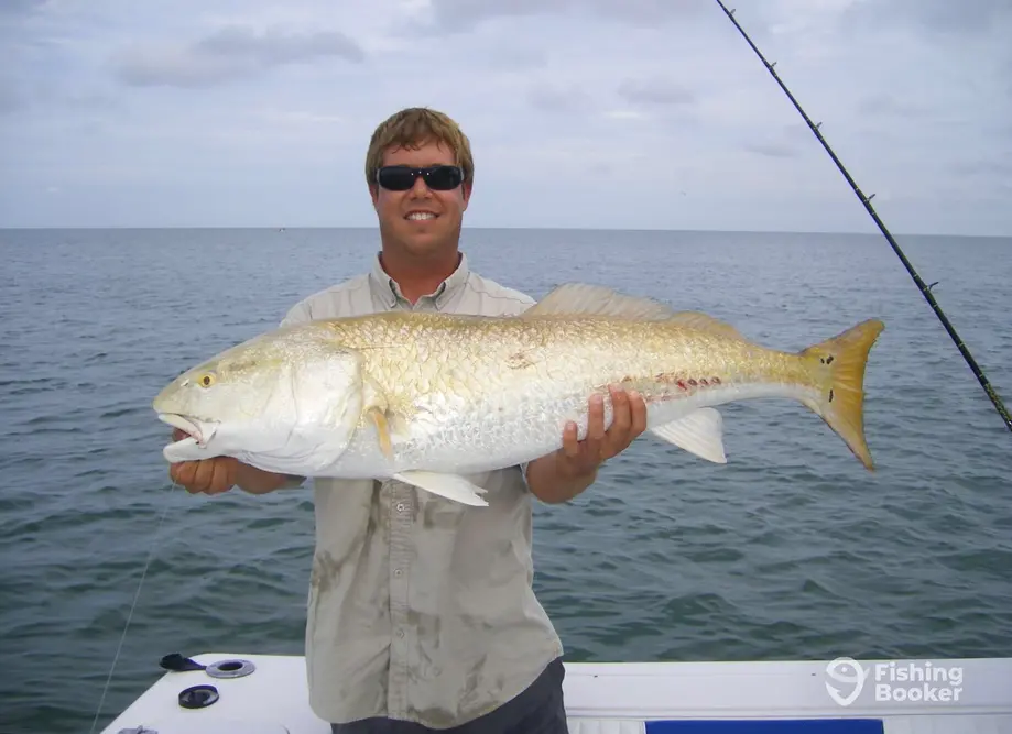 Reel Fly Fishing Charters