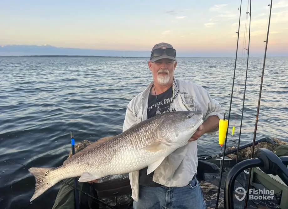 Marsh Magic Guide Service – Wilmington charter image 3